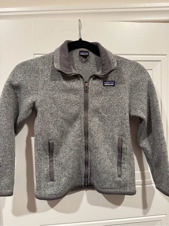 Patagonia Other - Patagonia Gray Heather Fleece Jacket